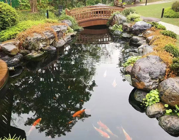 九湖镇实景案例